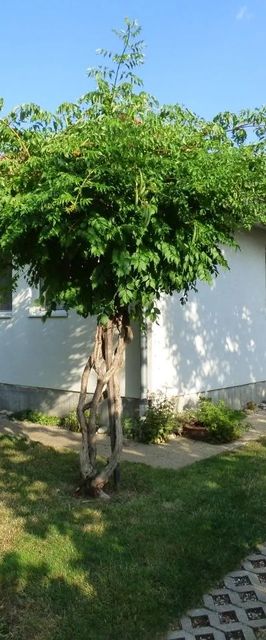 Erdélyi Vendégház Zamárdi