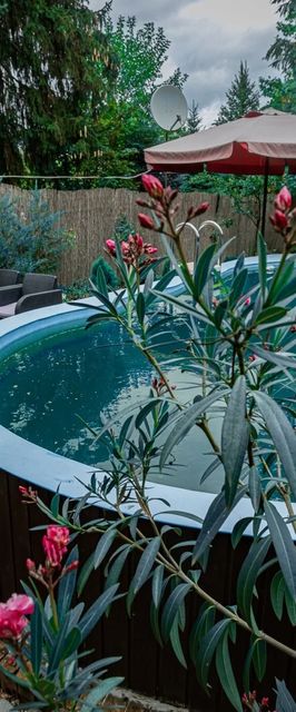 Réka II Vendégház Békésszentandrás