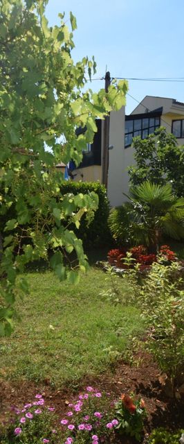 Apartments Petrovic Malinska