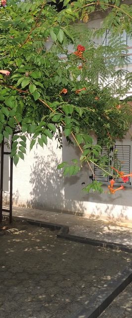 Apartments Tupanjac Malinska