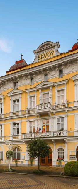Spa & Medical Savoy Františkovy Lázně
