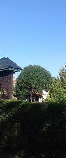 Szitakötő Vendégház Bucsa