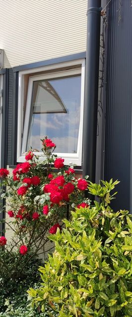 Szilas Park Motel Nagytarcsa