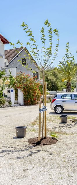 Apartment Bosiljka Rogoznica