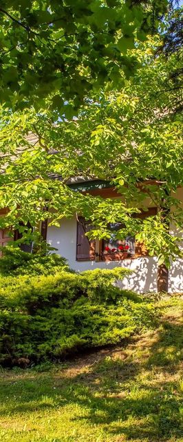 Áfonya Vendégház Eszteregnye