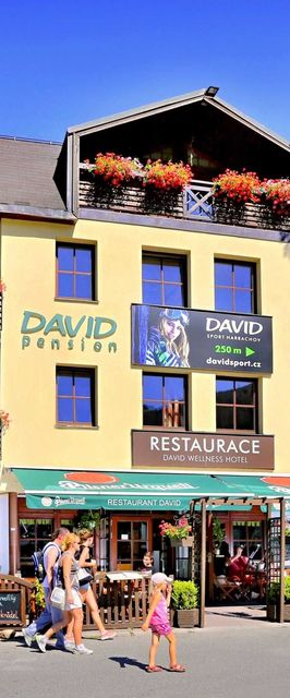 David wellness hotel Harrachov