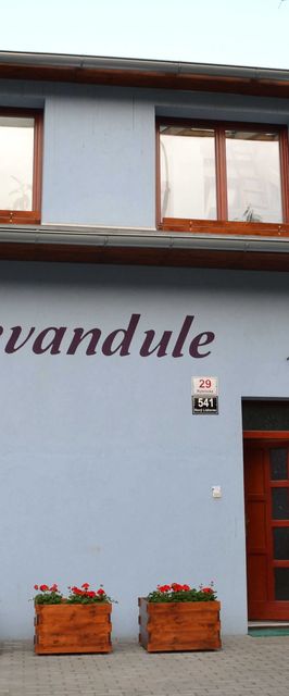 Penzion Levandule Brno