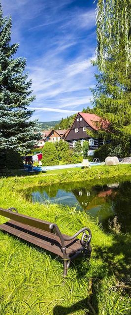 Penzion Chata Pod Lipami Rokytnice nad Jizerou