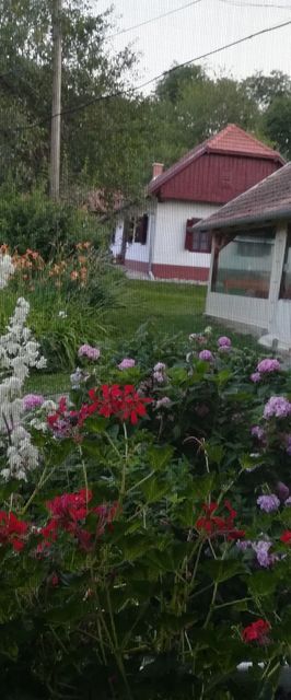 Kisaranyos Vendégház Velemér