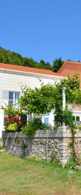 Apartmanok Parkolóhellyel Zuljana, Peljesac - 252 Žuljana