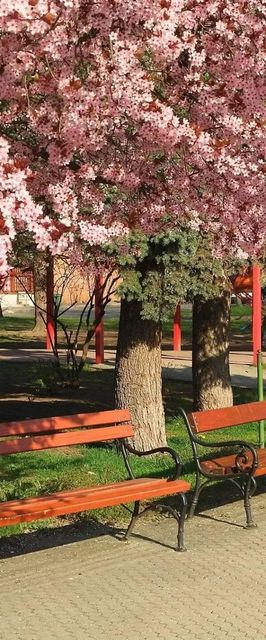 Csendespihenő Apartman Miskolc