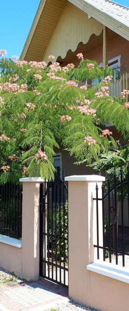 Mátyás Vendégház Füzesgyarmat