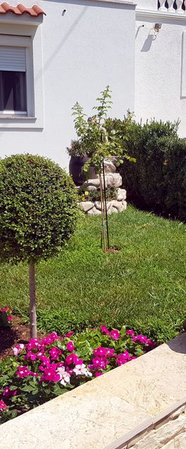 Apartmanok Parkolóhellyel Sveti Filip I Jakov, Biograd - 14353 Sveti Filip I Jakov