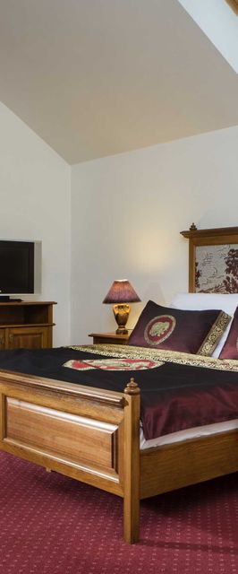 Spa Resort Libverda - Villa Friedland Lázně Libverda