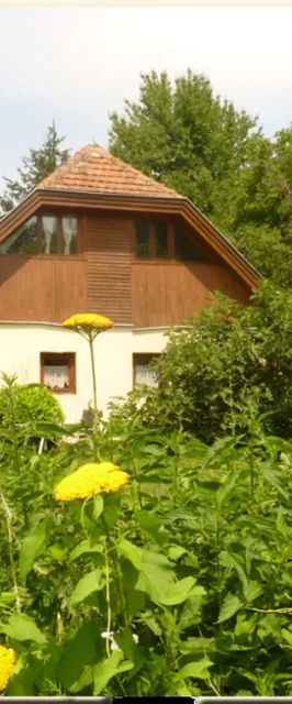 Kokas-Dombi Vendégház Nemeshetés