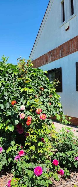 Vivien Vendégház 2 Berekfürdő