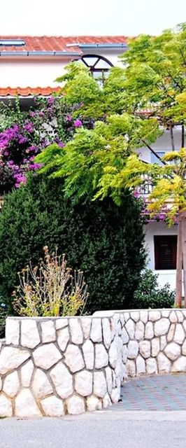 Apartmani Ivanić  Lopar