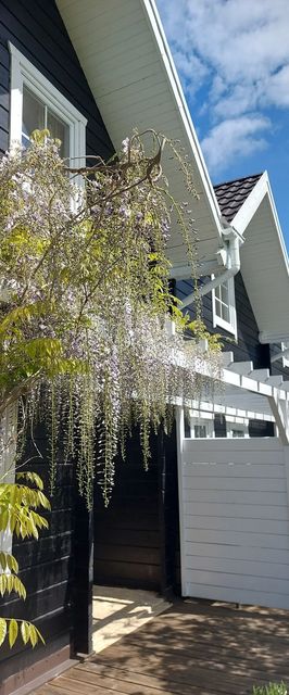 Bla Marine domki nad morzem Grzybowo