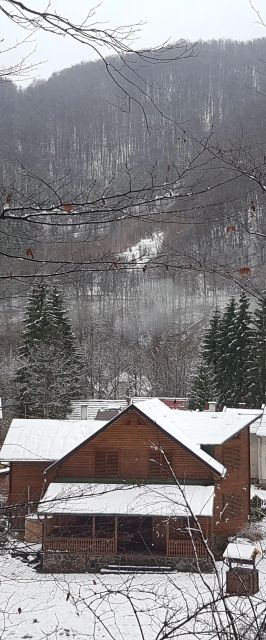Cabana Krókusz Pietroasa - Boga 
