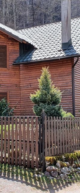 Cabana Krókusz Pietroasa - Boga 