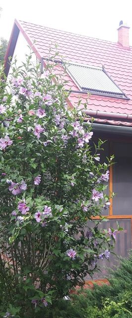 Tiszai Vándor Apartmanház Kisköre