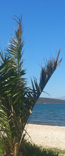 Apartmani Vlado Gornji Karin