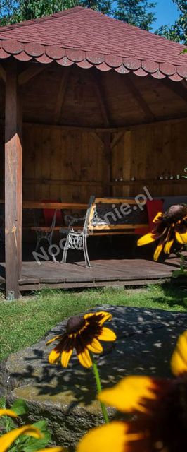 Agroturystyka - Dąbrówka 6