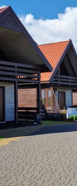 Uśmiechnięty Kaktus