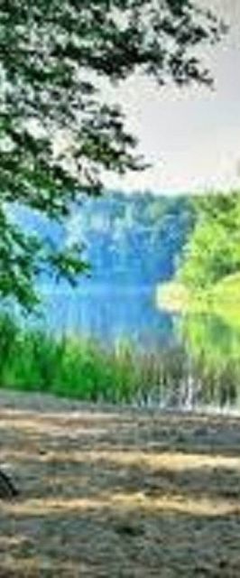 Domek Miętowy nad jeziorem całoroczny