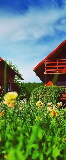 Noclegi i domki wypoczynkowe Daglezja