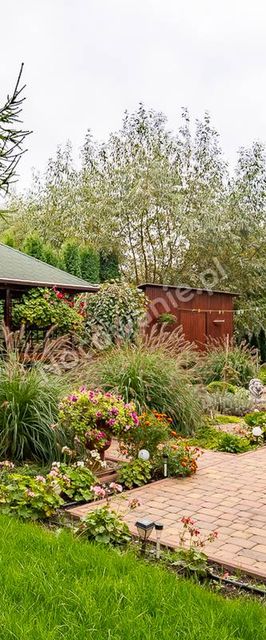 Pokoje z łazienkami Aura