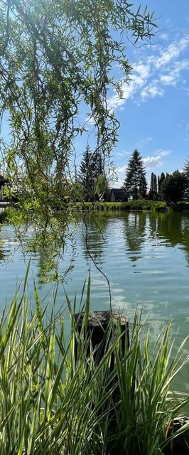 Agroturystyka Mirabelkowe Zacisze