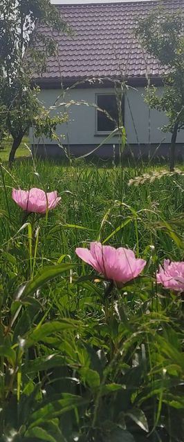 Jaśkowy Domek na Mazurach