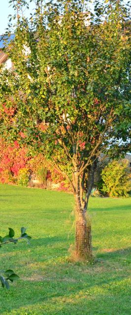 Pokoje i apartamenty Werchowyna