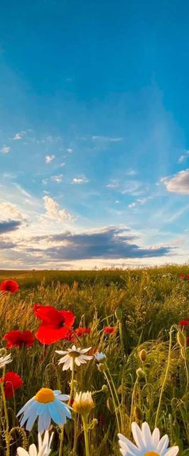 Mazurski Zakątek Skarlin