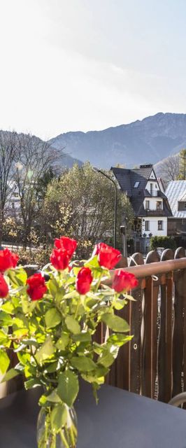 Gabi Cocktail Bar i wynajem pokoi