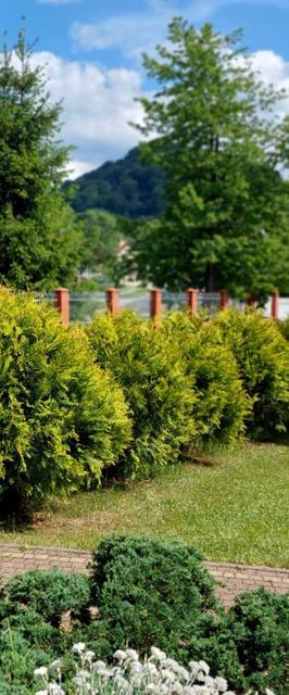 Domki nad Soliną Bieszczadzka Osada 