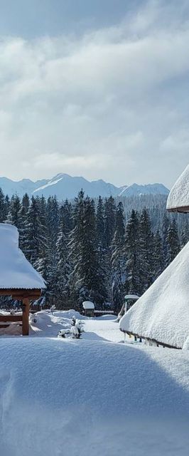 Jedla Miejsce gościnne