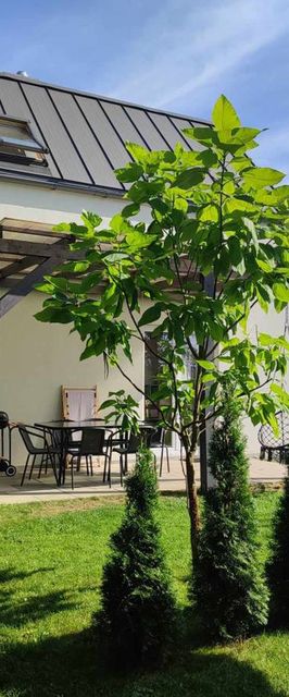 Domki Cisza i Spokój