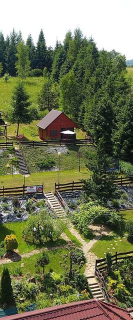 Modrzewiowe Wzgórze