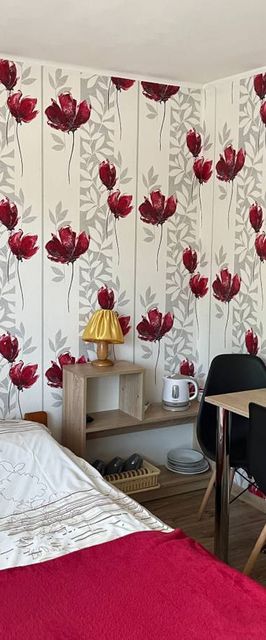 Willa Safra Pokoje w Centrum Szczawnicy