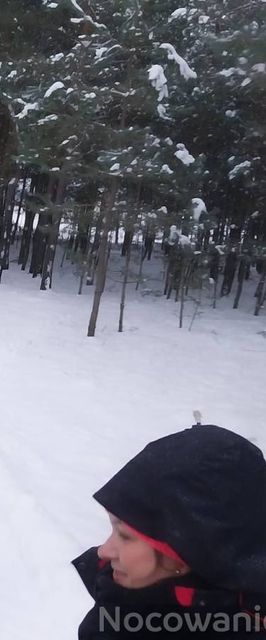 Agroturystyka Domki Nad Rzeką Bałtów Kajaki, Rowery, Basen, JACUZZI  