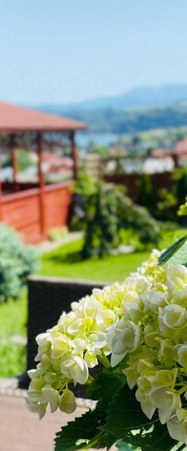 Pensjonat Willa Pienińska