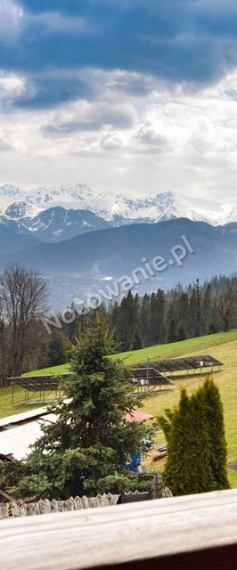 U Wacława pod Lasem