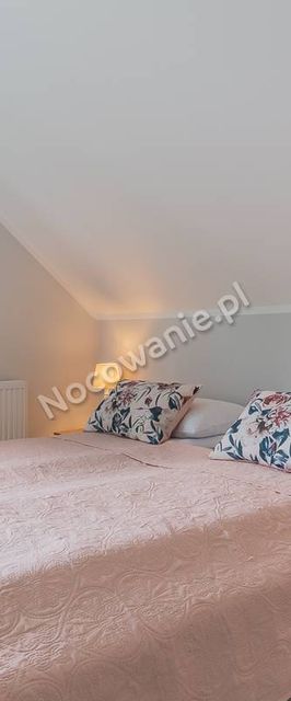 Wigierska NiemaSówka