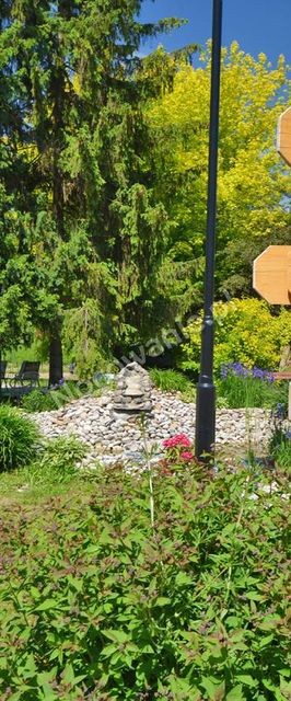 POD SKAMIENIAŁYM MIASTEM