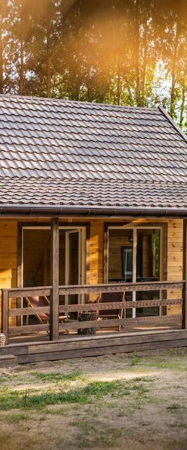 Zagajnik Białowieża