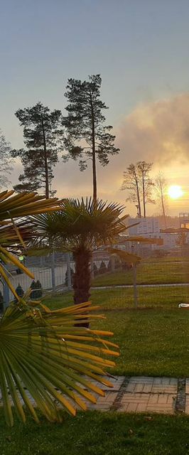 Dom  przy żywych palmach i jeziorze. Luksus i relax