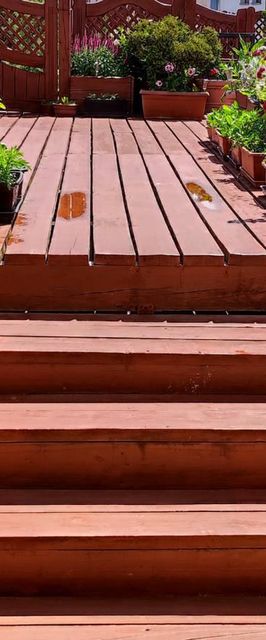 Pokoje Gościnne Muszelka