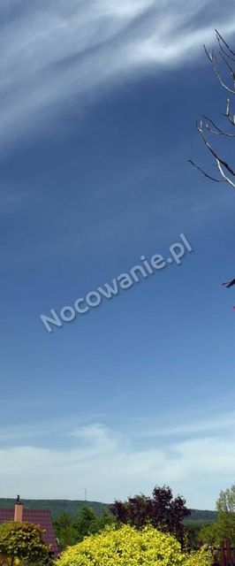 Siedlisko Carownica Family &amp; Wellness